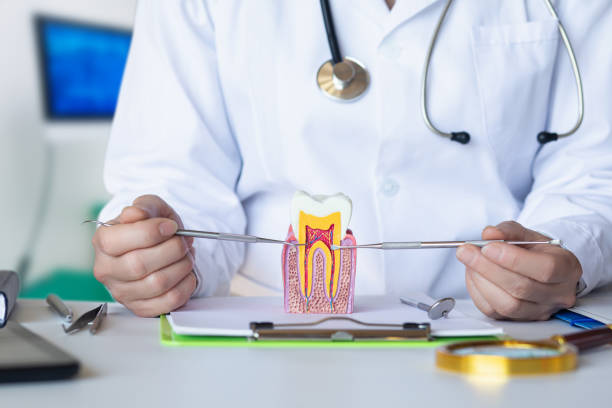 Best Emergency Dentist for Knocked-Out Tooth in Nanawale Estates, HI